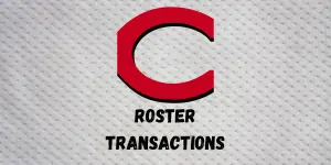 Cincinnati Reds Roster Transactions | Inside The Diamonds