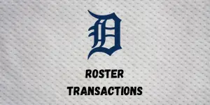 Detroit Tigers Roster Transactions | Inside The Diamonds