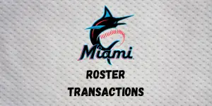 Miami Marlins Roster Transactions | Inside The Diamonds